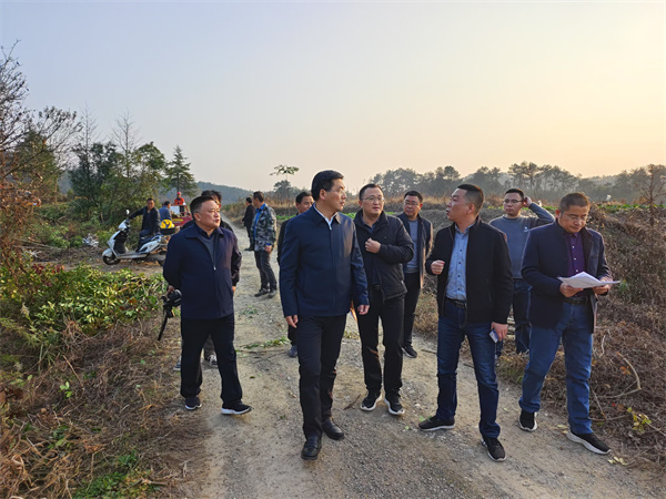 12月4日，集團領導陪同王奇勇縣長一行調(diào)研新管苗圃.jpg