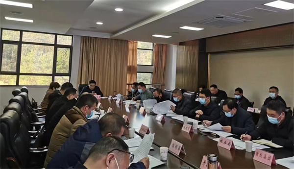 12月14日，王奇勇縣長(zhǎng)主持召開望豐項(xiàng)目工作專班推進(jìn)會(huì).jpg