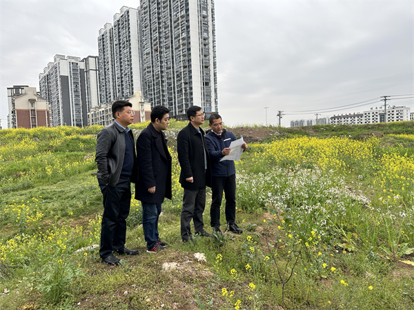 3月29日，張總陪同汪盛縣長調(diào)度揚之學校征地.jpg