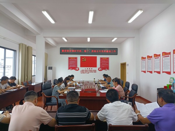 洪董帶隊(duì)調(diào)研市政公司、逸寧公司和質(zhì)檢公司黨的建設(shè)工作.jpg