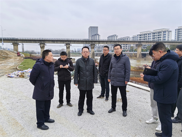 1月20日，汪凱書記到豐樂河環(huán)境整治項目進行調研，洪董、張總陪同1。.jpg